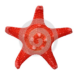 Red starfish