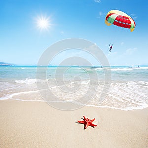 Red starfish on beach and parachute in sky