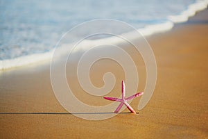 Red starfish on exotic sand beach
