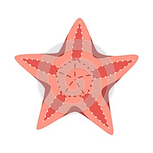 Red Starfish flat icon. Sea animal cartoon style. Echinoderm. Underwater world photo