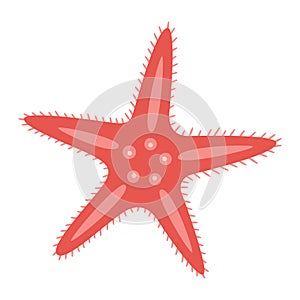 Red Starfish flat icon. Sea animal cartoon style. Echinoderm. Underwater world photo