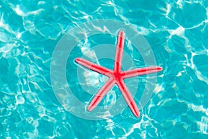 Red starfish floating on clean turquoise water