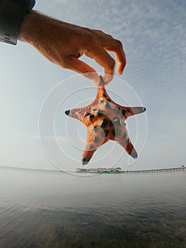 Red Starfish in hand on the background of the sea in Vietnam