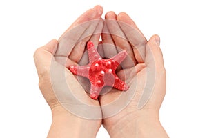 Red starfish in hands
