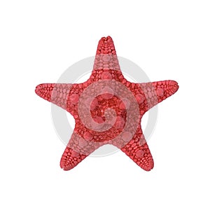 Red starfish isolate on a white background. Top view