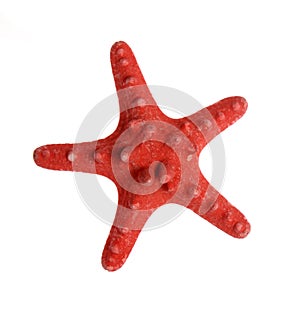 Red starfish isolated on white