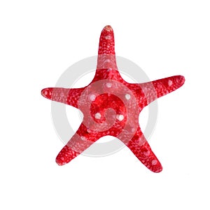 A red starfish on isolated white background