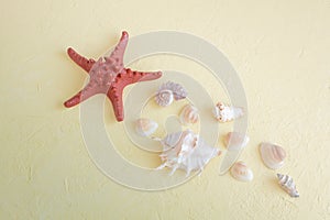 Red starfish and many small shells on yellow textured background. Beach vacation and travel concept. Selective focus, fog view