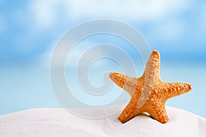 Red starfish with ocean, beach, sky and seascape