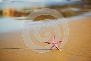 Red starfish on sand beach