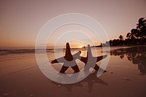 Red starfish on  sand beach, with ocean sky and seascape