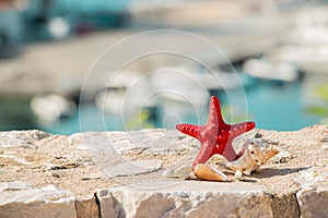 Red starfish and seashells.