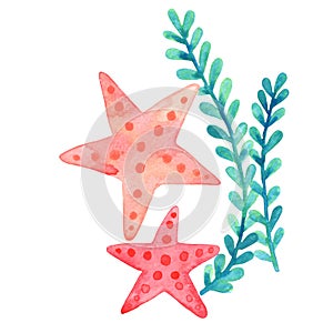 Red starfish with seaweed watercolor illustration for decoration on marine life.