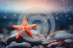 Red starfish on top of rock