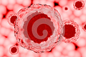Red stem cells close up