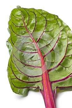 Red stemmed chard leaf