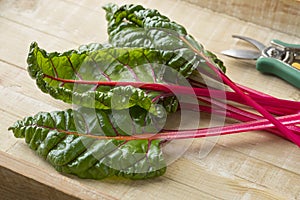 Red stemmed chard and leaves