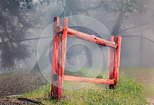 Red Stockade Fence in Forest