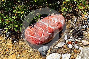 Red stone with white layers