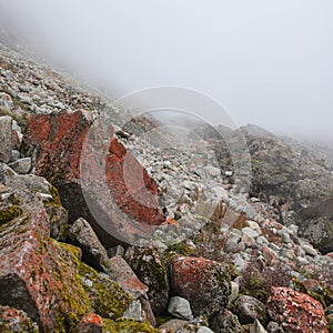 Red stones in mist