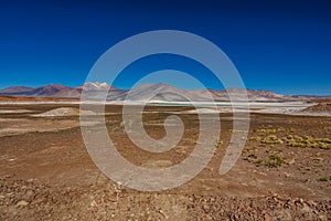 Red stones and Talar salar in Atacama photo