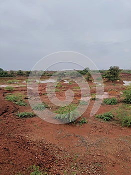 Red stoney soil with greenery