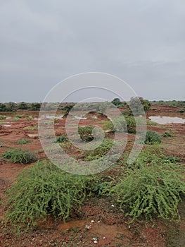Red stoney soil with greenery