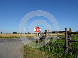 Red stop sign sitting at the end of a country road at an intersection