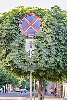 Red stop sign with trees photo