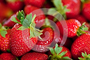 Red strawberries photo