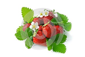 Red strawberries