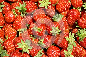 Red Strawberries