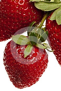 Red strawberries