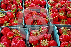 Red strawberries in blue baskets detail