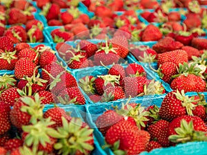 Red Strawberries fruit basket
