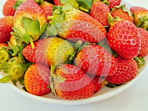 Red strawberries ripe fresh garden strawberry fruit food fraise fresa morango fragaria ananassa berry stroberee photo photo