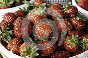 Red strawberries in white basket - close up