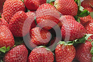 Red strawberry