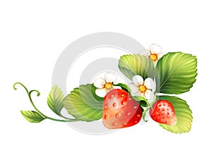 Red strawberry fruits with green leaves. Digital painting illustration isolated on white background