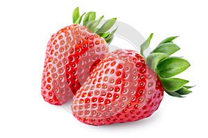 Red strawberry fruits with green leaves isolated on white background. Clipping path