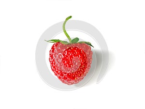 The red strawberry isolated on white background