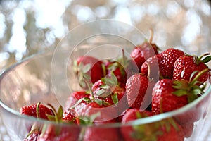 The red strawberry is a juicy and the most sumptuous fruit with a lot of vitamins.