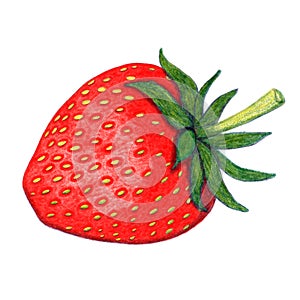 Red strawberry risography retro illustration