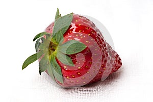 Red strawberry on white textured background