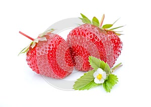 Red strawberrys isolated on white background