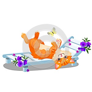 Red striped animated cat lying on a sunbed and playing with a butterfly isolated on white background. Vector cartoon