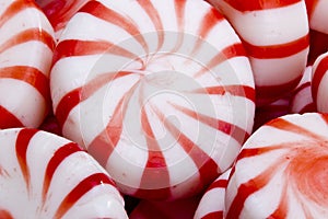 Red Striped Peppermints