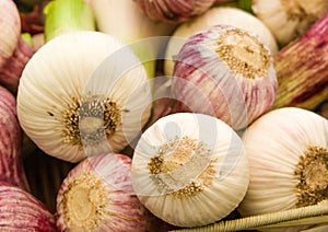 Red summer garlic at the market