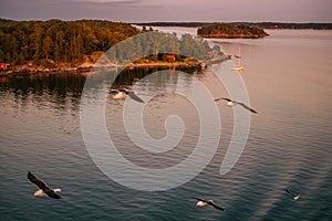 Red summer mokki cabins in Turku archipelago