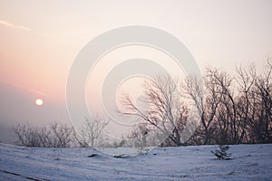 The red sun sets in a gray-pink haze. winter pastel landscape